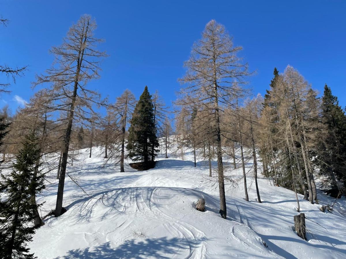 Haus Branol Lägenhet Hermagor-Pressegger See Exteriör bild