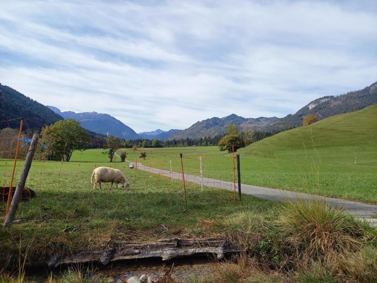 Haus Branol Lägenhet Hermagor-Pressegger See Exteriör bild